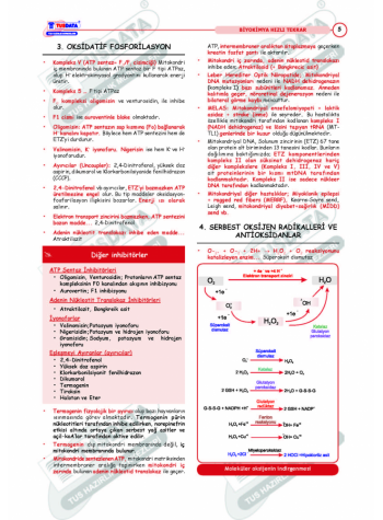 HIZLI TEKRAR - BİYOKİMYA