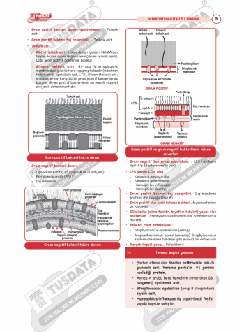 TUS Hızlı Tekrar Mikrobiyoloji ( 5 - 1 )