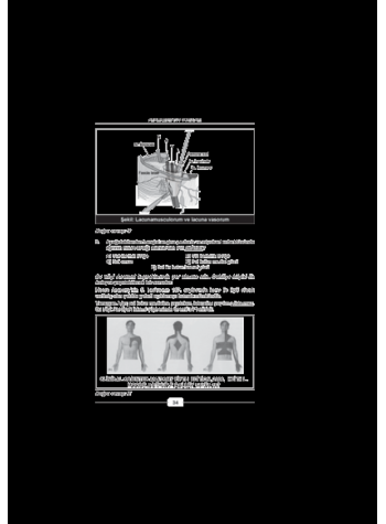 Aralık 2010 Açıklamalı Tus Soruları Aralık 2010 Açıklamalı Tus Soruları