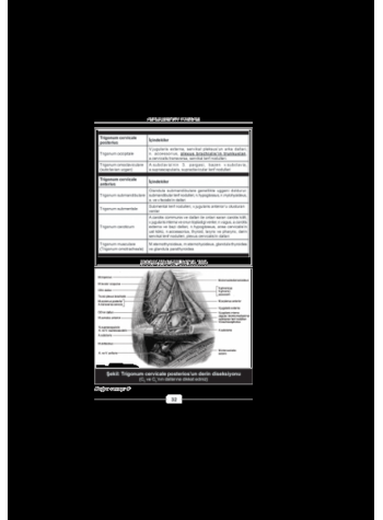 Aralık 2010 Açıklamalı Tus Soruları Aralık 2010 Açıklamalı Tus Soruları