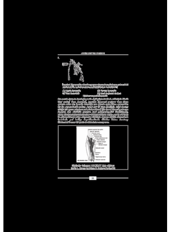Aralık 2010 Açıklamalı Tus Soruları Aralık 2010 Açıklamalı Tus Soruları