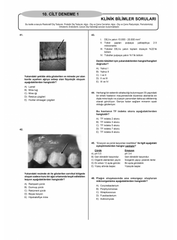 Denttest Deneme Sınavları / 10.Cilt