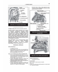 DENTTEST DUS İÇİN AÇIKLAMALI 12 DNM.SNV ( 5.CİLT )