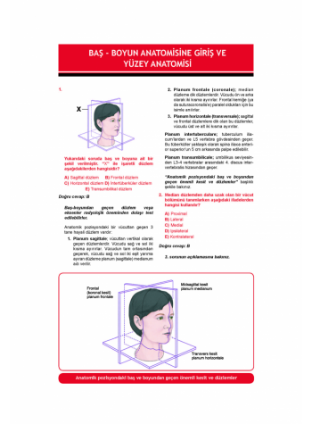 DUS Akademi Soru ( 2.Baskı ) ANATOMİ