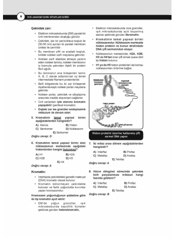 DUS Akademi Soru ( 2.Baskı ) FİZYOLOJİ