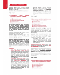 DUS ÇIKMAMIŞ SORULARI KİTABI ( 1.Baskı ) 