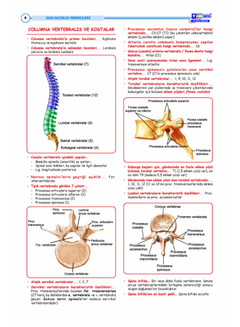 DUS HIZLI TEKRAR SERİSİ TEMEL BİLİMLER