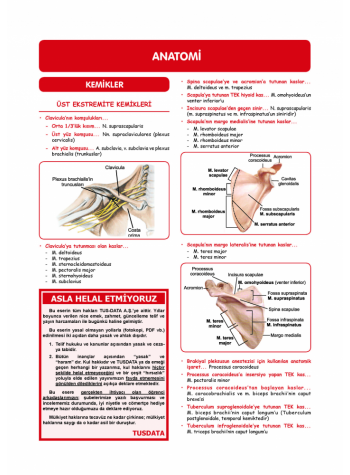 DUS HIZLI TEKRAR SERİSİ TEMEL BİLİMLER