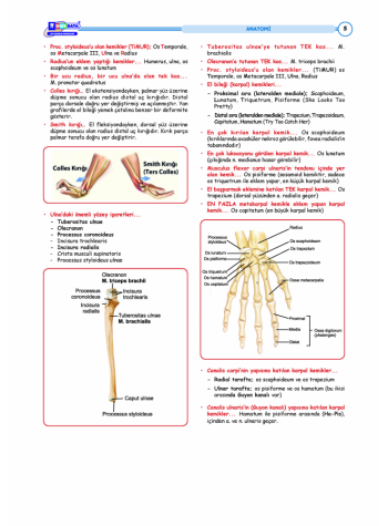 DUS HIZLI TEKRAR SERİSİ TEMEL BİLİMLER