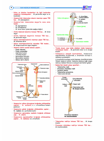 DUS HIZLI TEKRAR SERİSİ TEMEL BİLİMLER