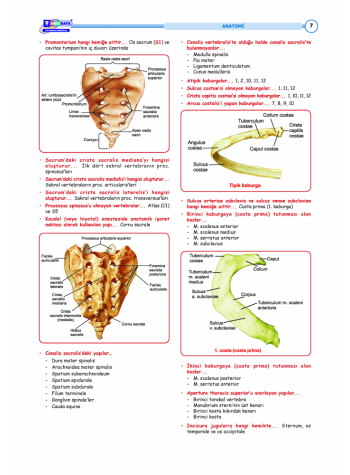 DUS HIZLI TEKRAR SERİSİ TEMEL BİLİMLER