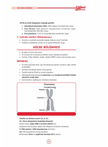 DUS MİADENT KONU ( 4.Baskı ) FİZYOLOJİ