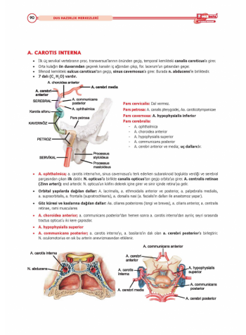 DUS MİADENT KONU ( 5.Baskı ) ANATOMİ