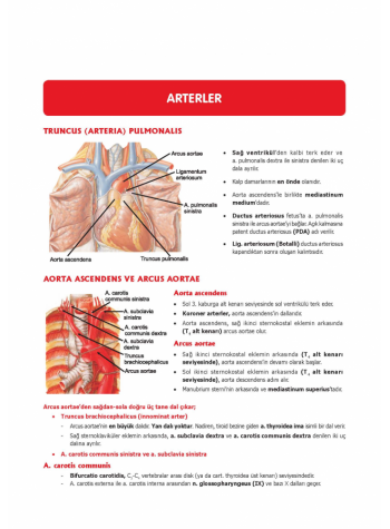 DUS MİADENT KONU ( 5.Baskı ) ANATOMİ