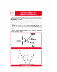 DUS MİADENT KONU ( 6.Baskı ) BİYOKİMYA