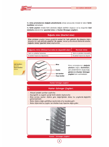 DUS MİADENT KONU ( 6.Baskı ) RESTORATİF DİŞ