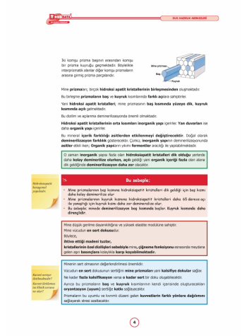 DUS MİADENT KONU ( 6.Baskı ) RESTORATİF DİŞ