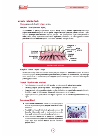 DUS MİADENT KONU KİT. ( 6. Baskı ) PERİODONTOLOJİ