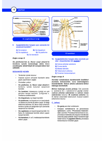 DUS Miadent Soru ( 5.Baskı ) Anatomi