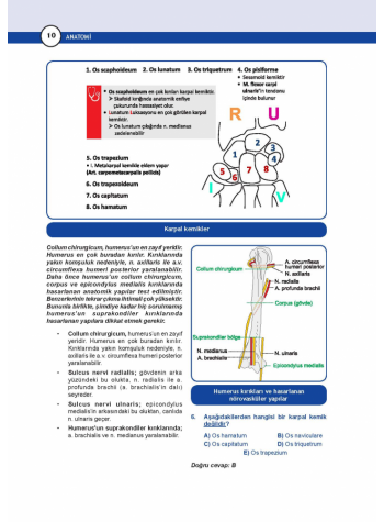DUS Miadent Soru ( 5.Baskı ) Anatomi
