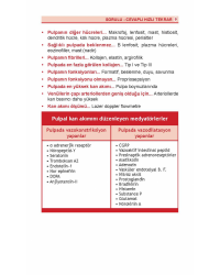 DUS Review Endodonti