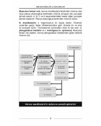 DUS SORULARI - ÖSYM'nin Orijinal 2020