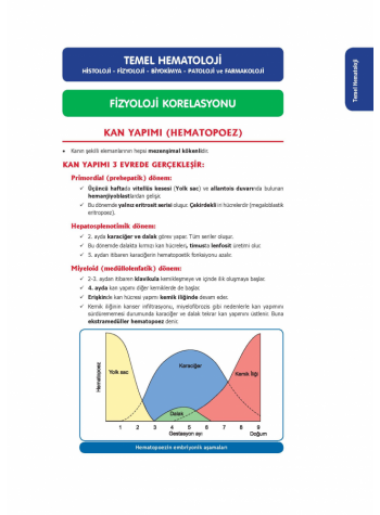 Entegre Konu Anlatımlarıyla ( 2.Baskı )