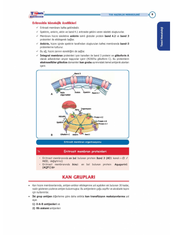 Entegre Konu Anlatımlarıyla ( 2.Baskı )