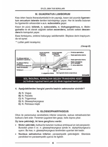 Eylül 2004 Açıklamalı Tus Soruları Eylül 2004 Açıklamalı Tus Soruları