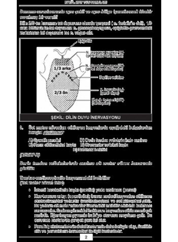 Eylül 2007 Açıklamalı Tus Soruları Eylül 2007 Açıklamalı Tus Soruları