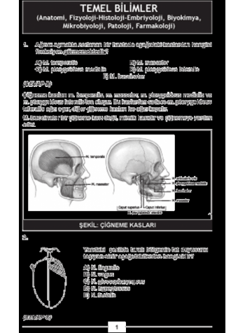 Eylül 2007 Açıklamalı Tus Soruları Eylül 2007 Açıklamalı Tus Soruları