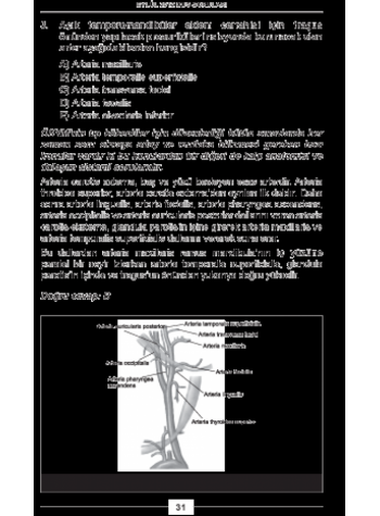 EYLÜL 2012 DUS SORULARI ve Detaylı Açıklamaları