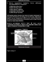 EYLÜL 2012 DUS SORULARI ve Detaylı Açıklamaları