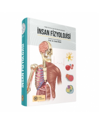 İNSAN FİZYOLOJİSİ ( TFBD ) AĞAR