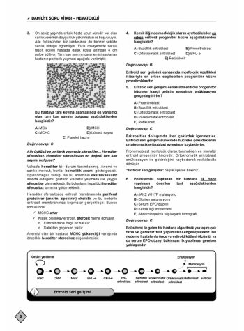 KLİNİSYEN SORU KİTABI ( 17.Baskı ) DAHİLİYE / 1.2.Cilt