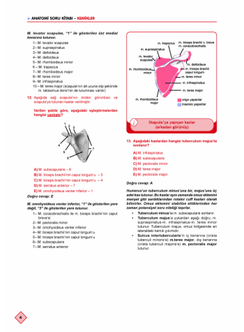 KLİNİSYEN SORU KİTABI ( 9.Baskı ) ANATOMİ