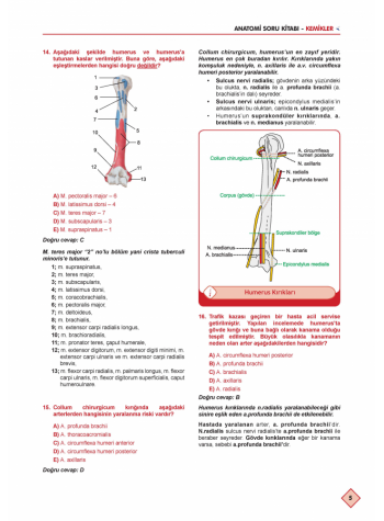 KLİNİSYEN SORU KİTABI ( 9.Baskı ) ANATOMİ