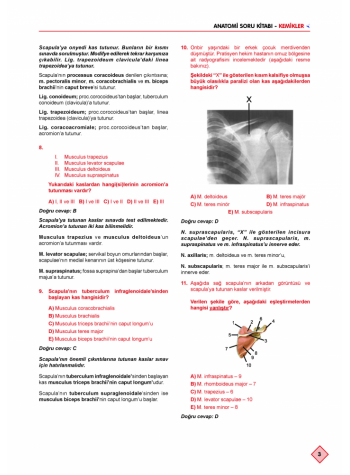 KLİNİSYEN SORU KİTABI ( 9.Baskı ) ANATOMİ