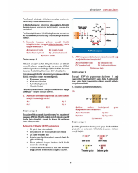 MEDİTUS SERİSİ - BİYOKİMYA SORULARI - 2.Baskı