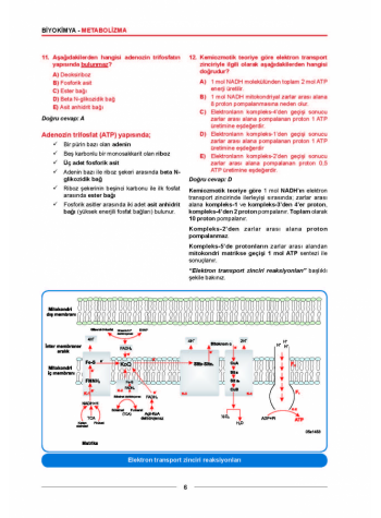 MEDİTUS SERİSİ - BİYOKİMYA SORULARI - 2.Baskı