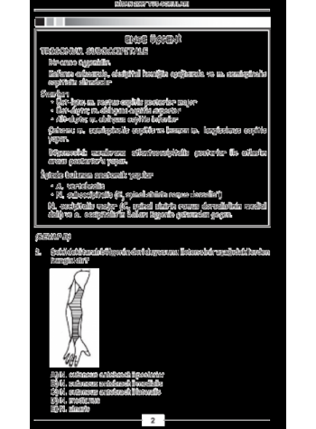 Nisan 2007 Açıklamalı Tus Soruları Nisan 2007 Açıklamalı Tus Soruları