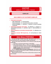 OPTİMUM REVİEW ( 8.Baskı ) ANATOMİ