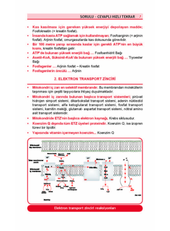 OPTİMUM REVİEW ( 8.Baskı ) BİYOKİMYA