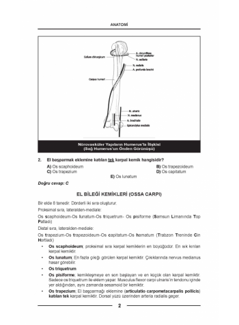 OPTİMUM SORU SERİSİ ( 6.BASKI ) ANATOMİ