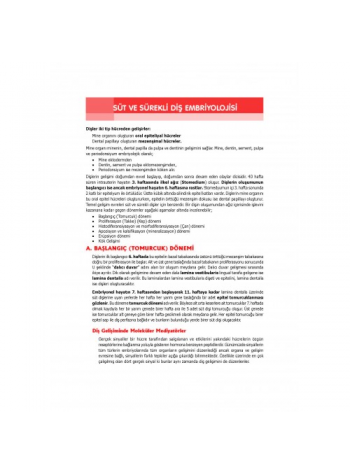 PEDODONTİ - Çocuk Diş Hekimliği / ÖZEN (2020) (YENİ BASKI HAZIRLANIYOR!)