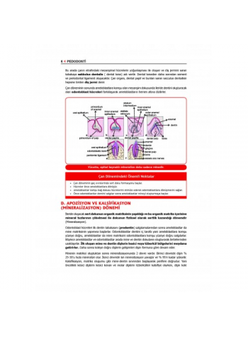 PEDODONTİ - Çocuk Diş Hekimliği / ÖZEN (2020) (YENİ BASKI HAZIRLANIYOR!)