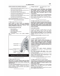 PRETUS DENEME SINAVLARI SERİSİ ( 9.Cilt ) 