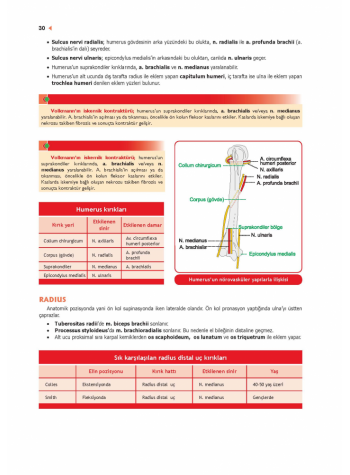 ProspekTUS ANATOMİ ( 4.Baskı ) 