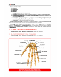 ProspekTUS ANATOMİ ( 4.Baskı ) 