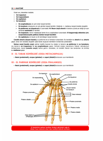 ProspekTUS ANATOMİ ( 4.Baskı ) 